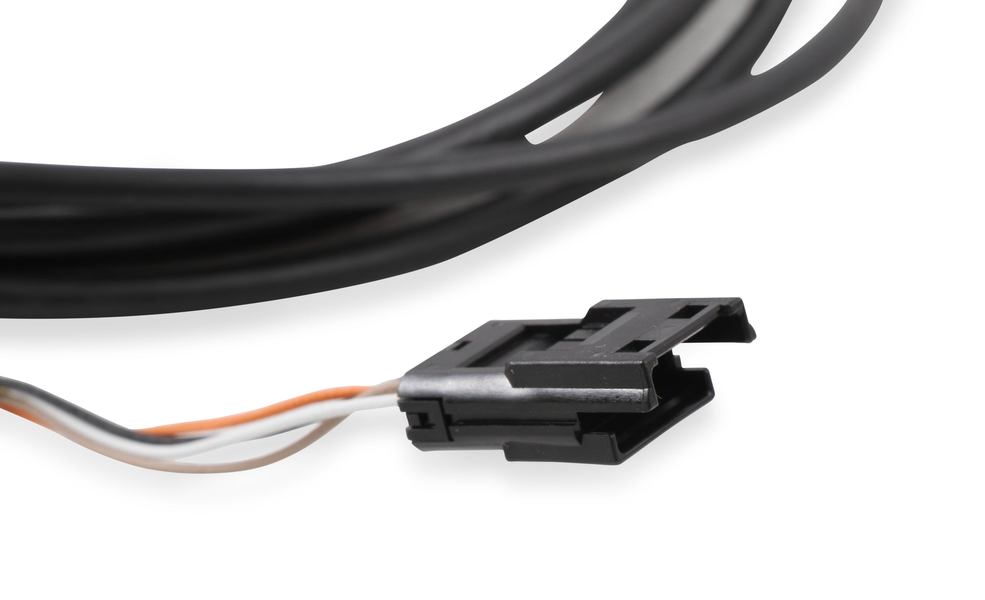 CAN Adapter Harness, 12'