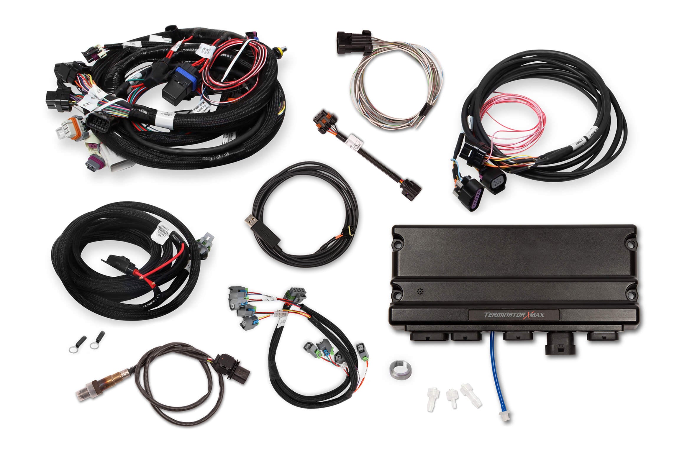 Holley EFI Terminator X Max - LS1/LS6