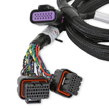 Holley EFI GM GEN V GDI Subharness