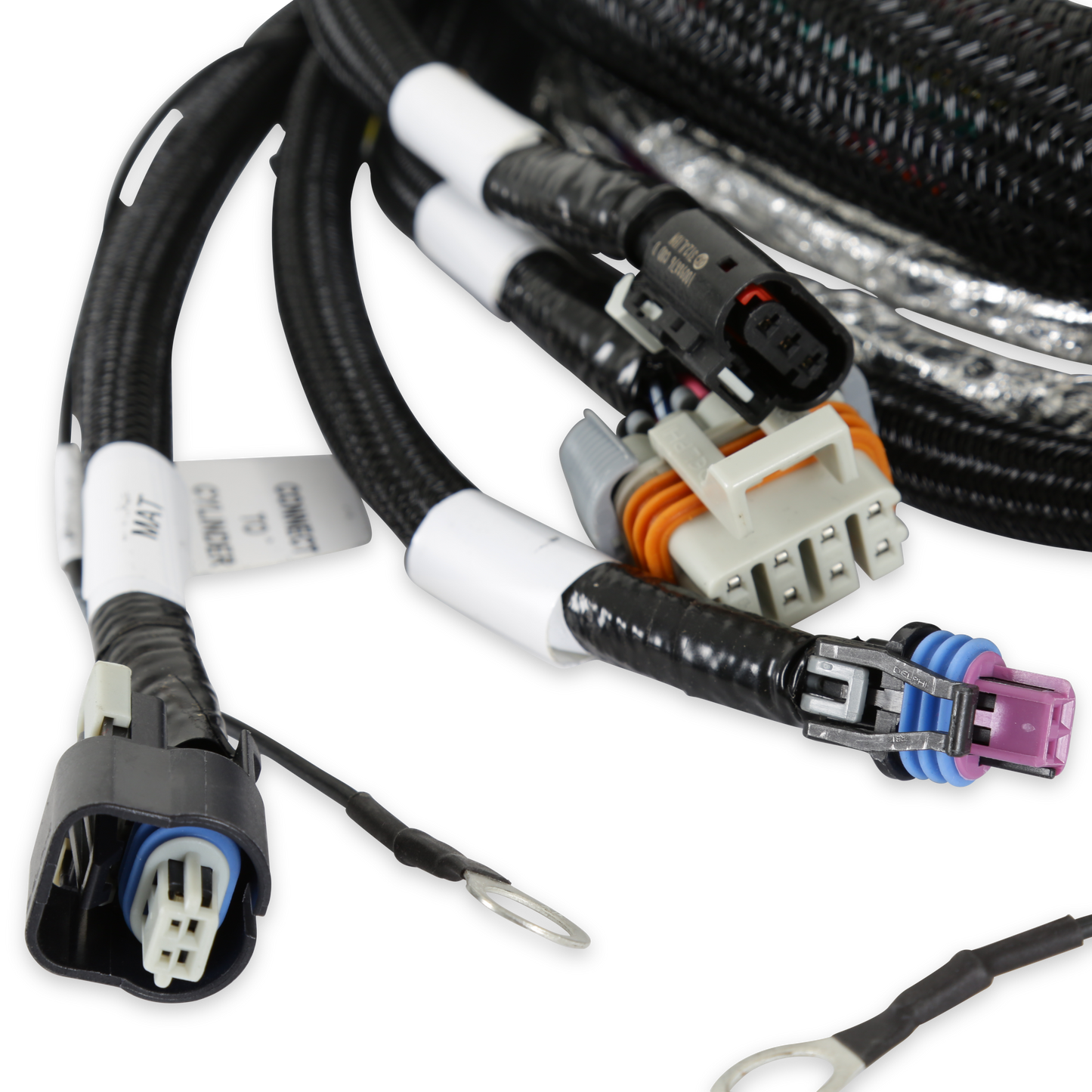 Holley EFI Gen V LT Engine Main Harness