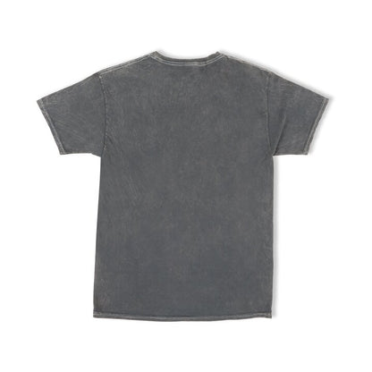 Holley EFI Mineral Washed Distressed Tee