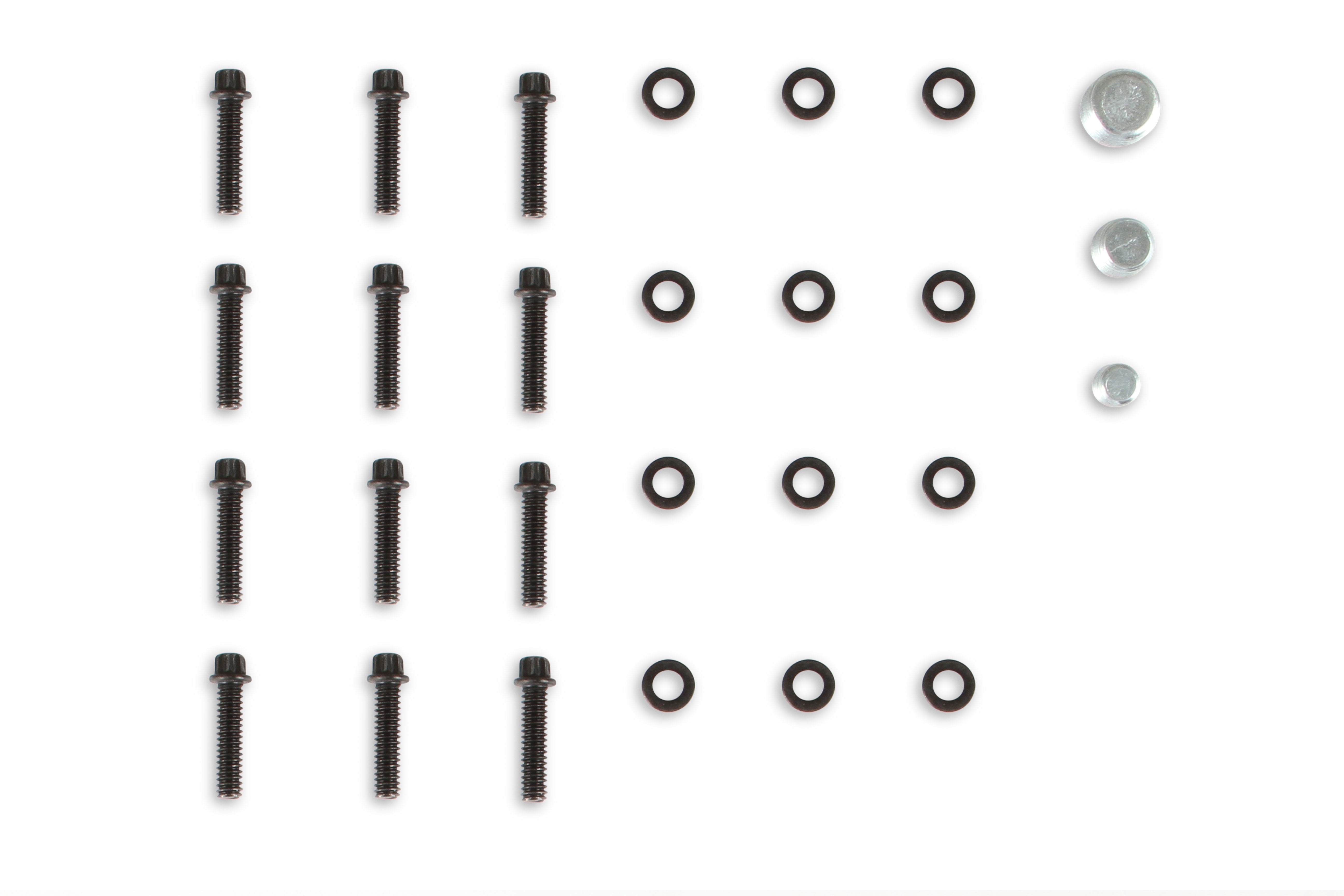 Holley Modular Lo-Ram EFI Manifold LS1/2/6