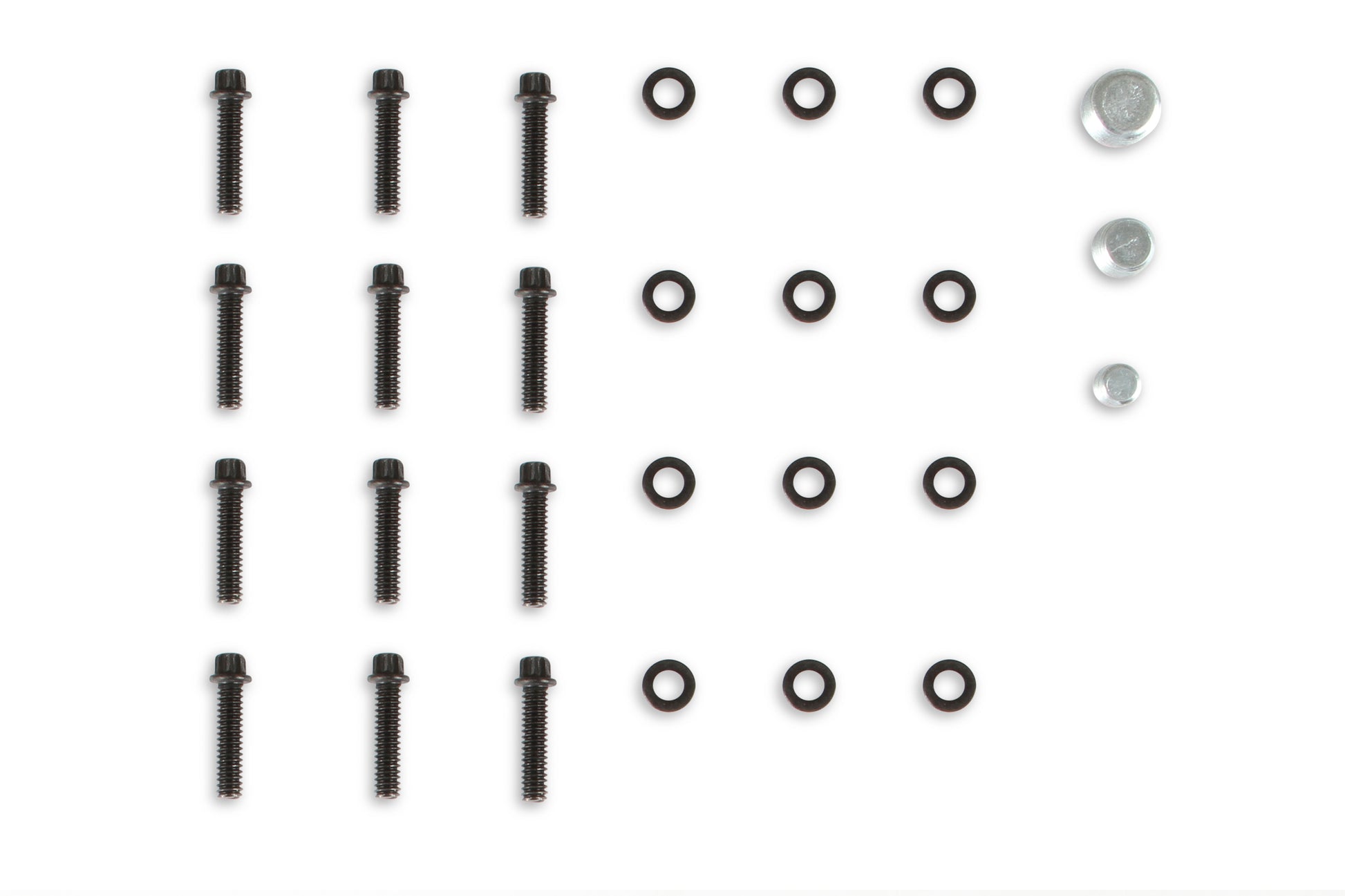 Holley Modular Lo-Ram EFI Manifold LS1/2/6