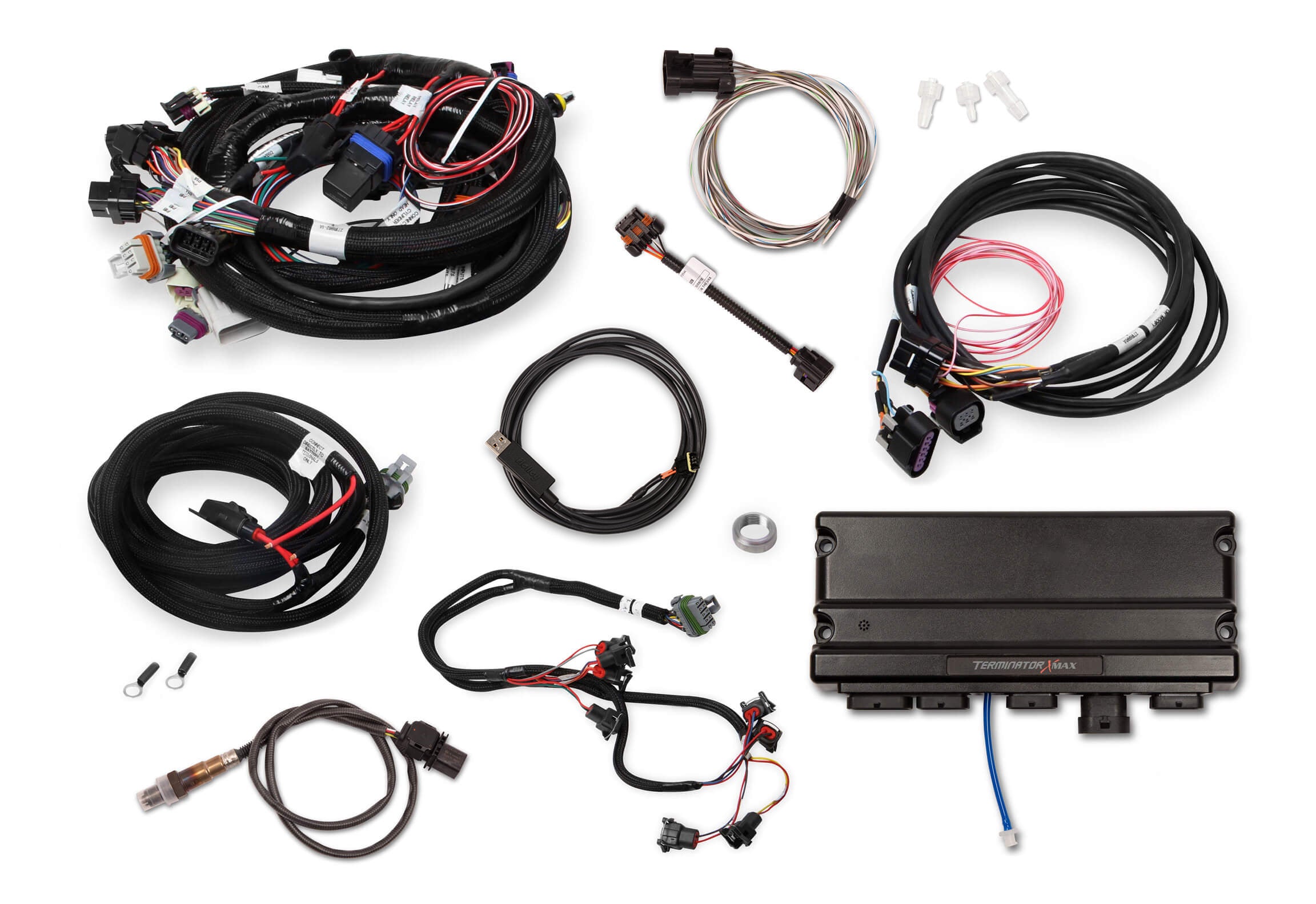 Holley EFI Terminator X Max - LS1/LS6