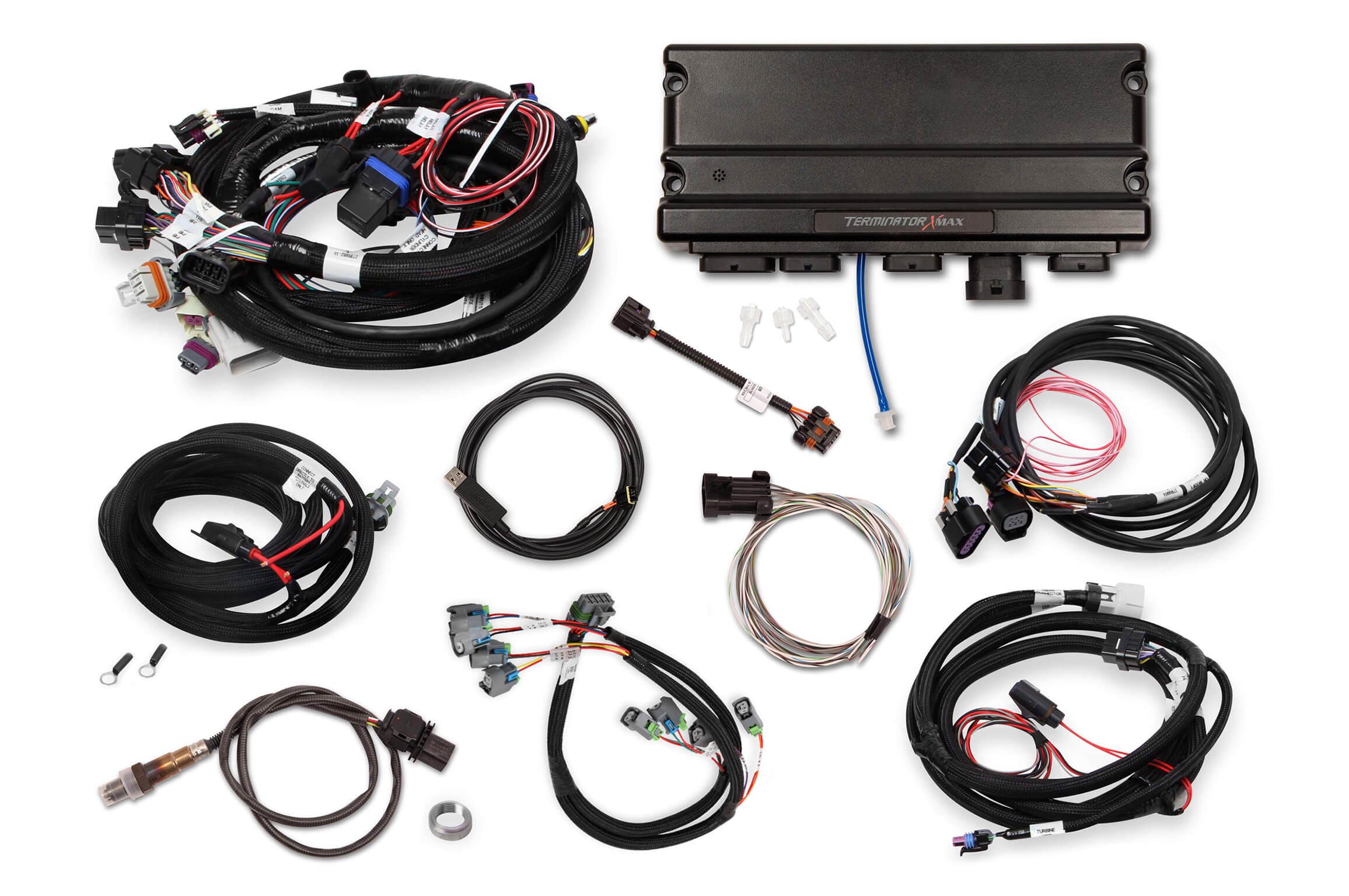 Holley EFI Terminator X Max - LS1/LS6