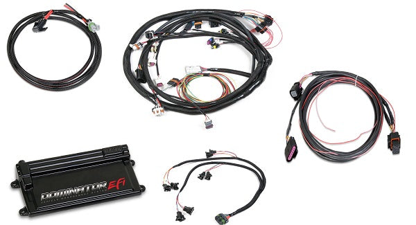 Dominator EFI Kit - LS2 Main Harness w/  DBW with EV1 Injector Harnesses