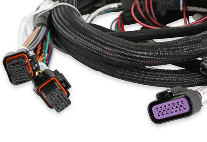 MAIN ENGINE HARNESS FOR 58X LS W/TBI