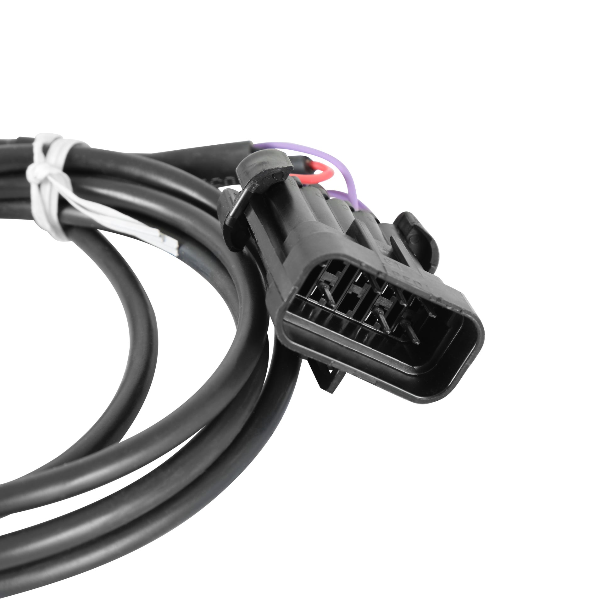 Crank/Cam Ign. Harness. Fully terminated harness.