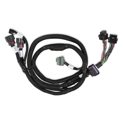 Holley EFI GM GEN V GDI Subharness