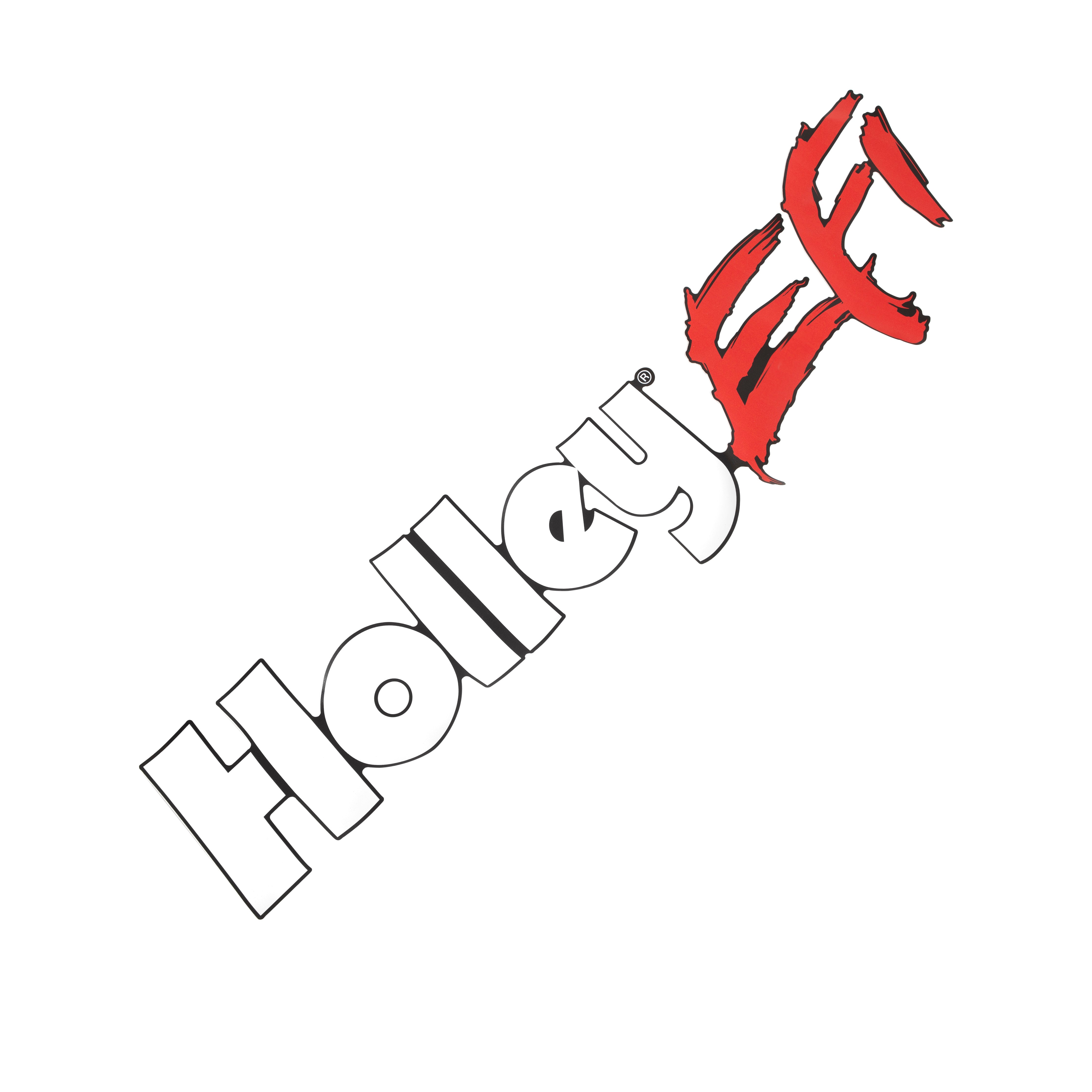 Holley EFI Die Cut Decal