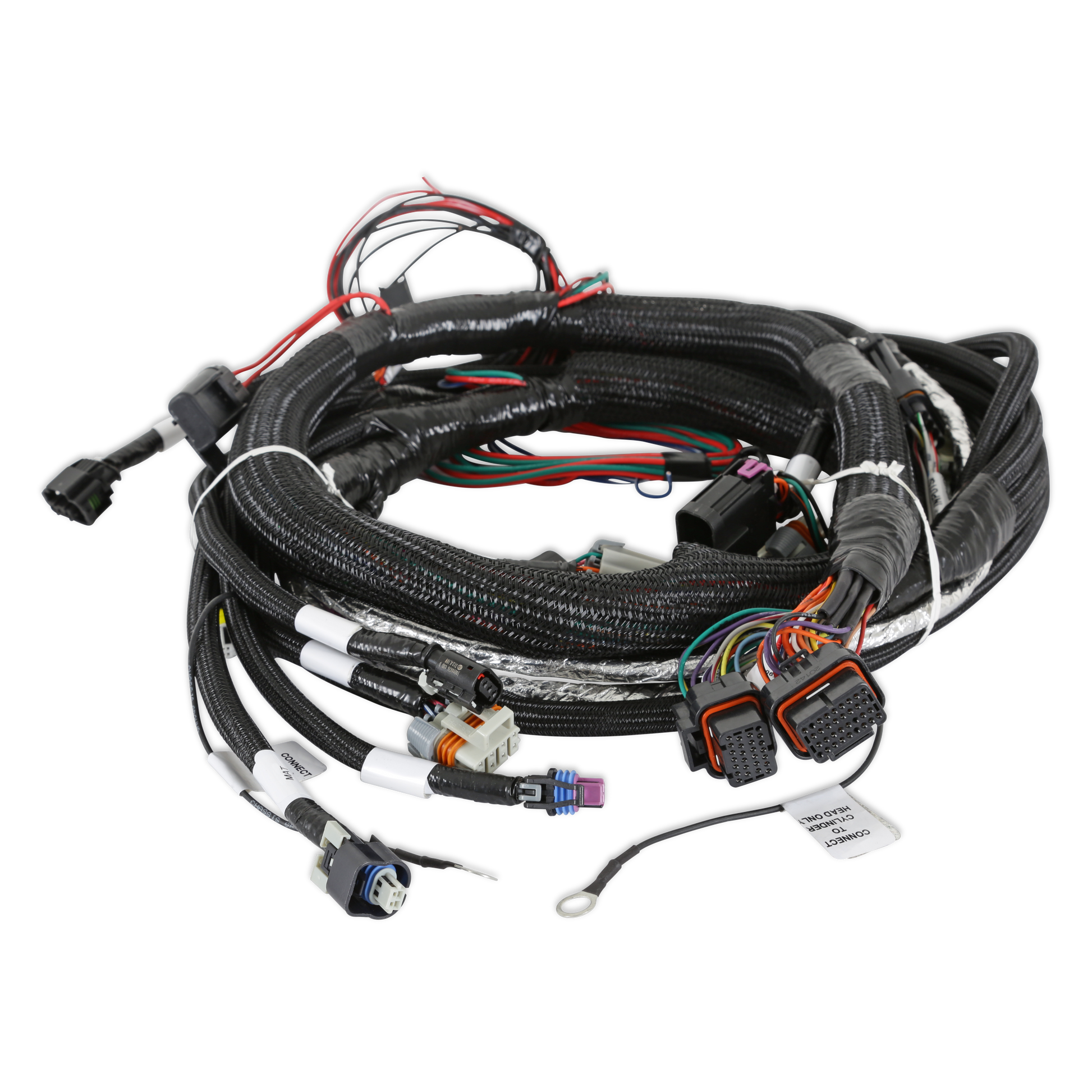 Holley EFI Gen V LT Engine Main Harness