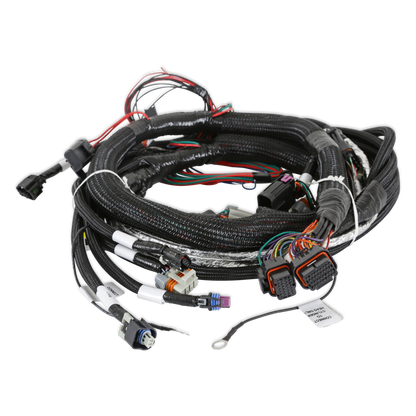Holley EFI Gen V LT Engine Main Harness