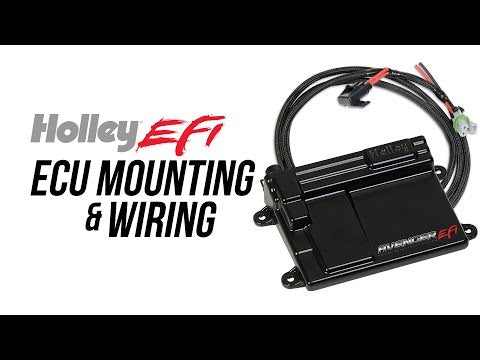 Holley EFI Lightweight Dominator ECU