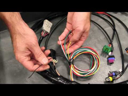 Holley EFI Gen V LT Engine Main Harness